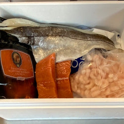 Medium Fish Bundle