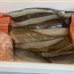 Large Fish Bundle
