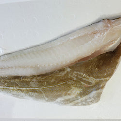 Fresh Cod Fillet
