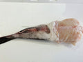 Fresh Monkfish Tails