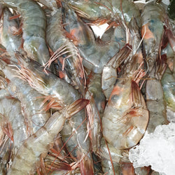 Fresh Raw Crevettes