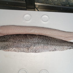 Hake Fillets