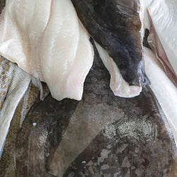 Halibut Fillet